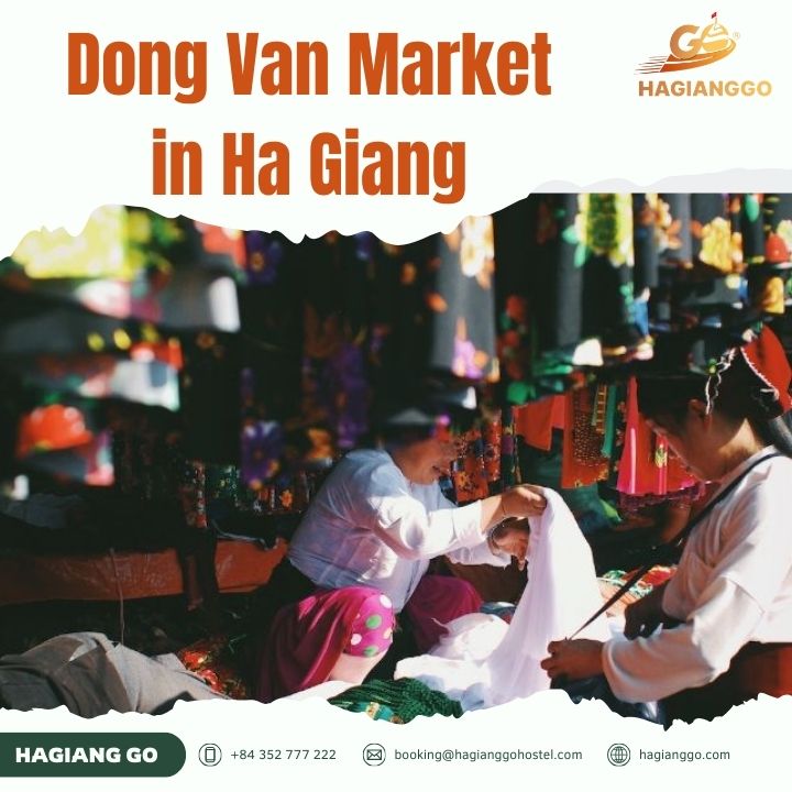 Dong Van Market: A Complete Travel Guide to Vietnam's Most Authentic Highland Marketplace